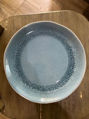 Bee & Willow Blue Stoneware Dining Plates 10in 2 plates total